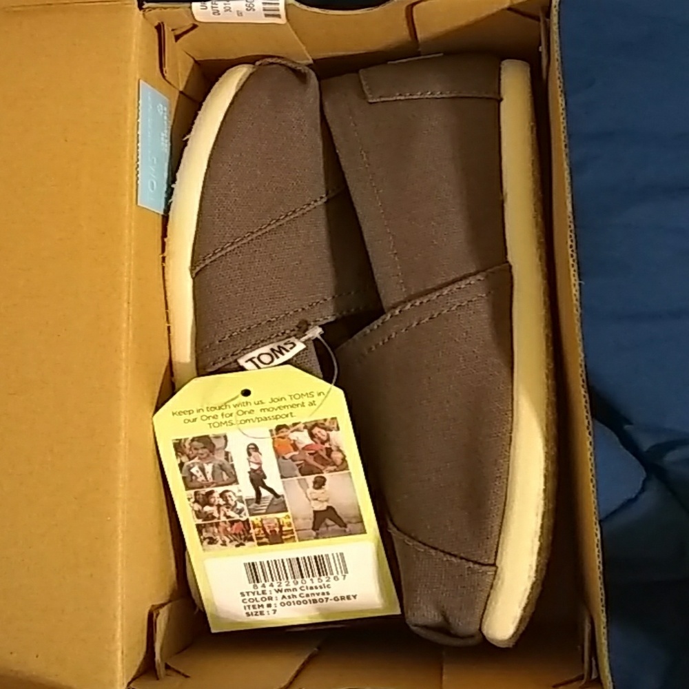 TOMS Classic Ash Canvas